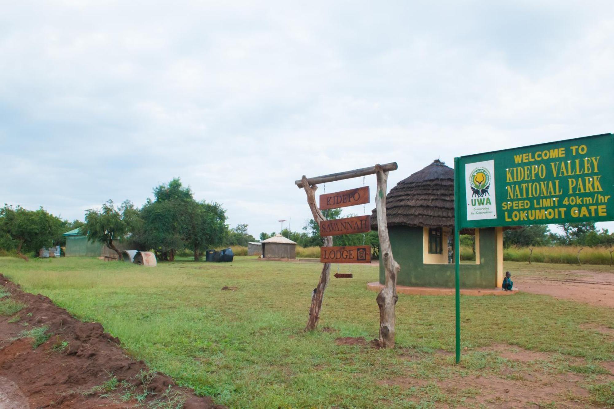 Kidepo Savannah Lodge By Nature Lodges Ltd Loitanit エクステリア 写真